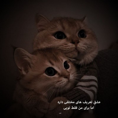 ابراهیم رهبر زینب سس ور ای بابا